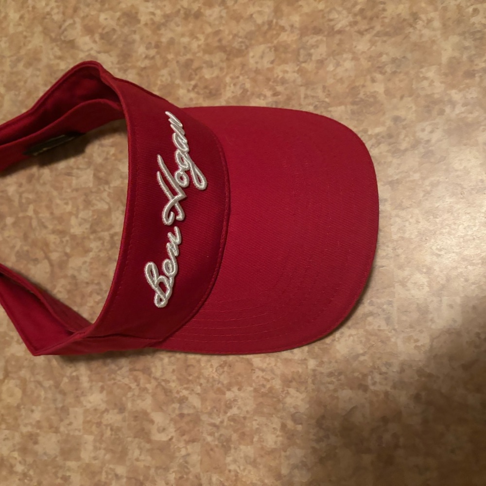 Hogan Visor